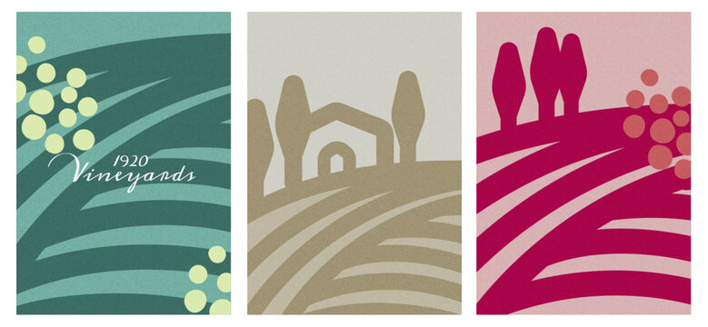 wine-minimalist-texture-background-vineyards-lines