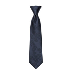 Elegant navy blue tie with detailed paisley pattern, formal wear.