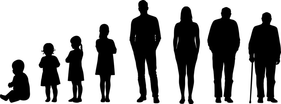 Human Life Cycle: Diverse Age Group Silhouettes Collection