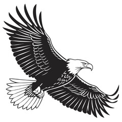 Fototapeta premium Detailed monochrome illustration of an eagle soaring with spread wings Silhouette