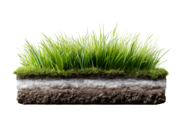 Green grass layer with soil section and roots visible under surface