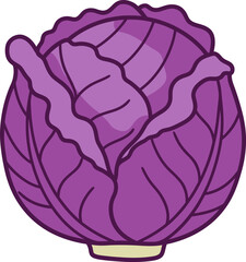 Fresh Purple Cabbage: Healthy Vegetable Icon Design