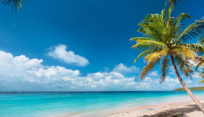 summer beach background palm trees against blue sky banner panorama tropical caribbean travel destination