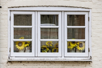 Fototapeta premium Sunflowers in a white framed window
