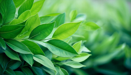 Obraz premium green leafs in garden background new trending colour of the 2025 year