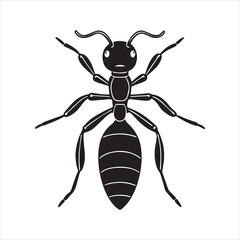 ant insect silhouette vector illustration