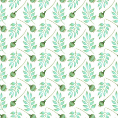Seamless pattern with graceful turquoise leaves and poppy pod. Watercolor illustration. Hand drawn botanical isolated background. Simple plant branches for textile, packaging, wallpaper, fabric