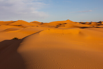 
Rolling desert sand dunes under an overcast sky, highlighting the subtle textures and curves of...