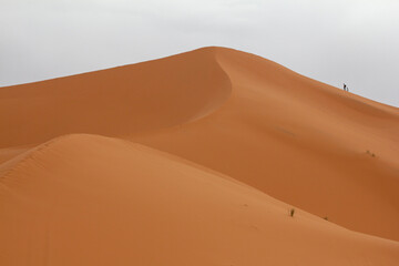 
Rolling desert sand dunes under an overcast sky, highlighting the subtle textures and curves of...