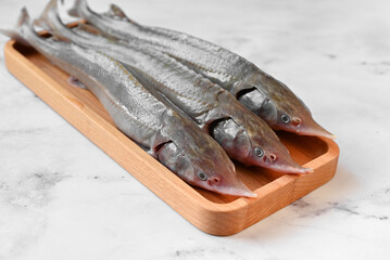 Raw sterlet fish on a wooden plate with pepper