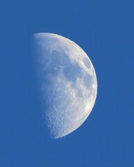 moon in the sky © Anna