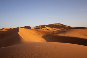 
Rolling desert sand dunes under an overcast sky, highlighting the subtle textures and curves of...