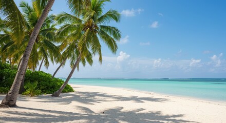 Tropical beach paradise with palm trees and turquoise ocean