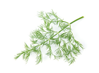 Fresh green dill branches isolated on white, top view.