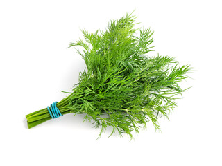 Fresh raw dill bunch isolated on white background.