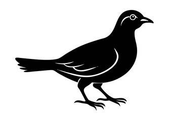 Obraz premium Large Single Bird Silhouette – Vector Art on White Background