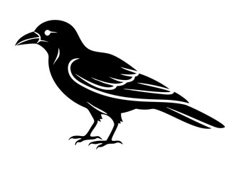 Fototapeta premium Large Single Bird Silhouette – Vector Art on White Background