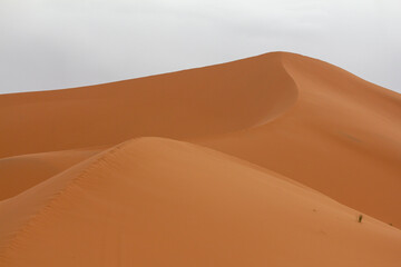 Striking close-up of a towering desert sand dune, showcasing its sharp ridge, contrasting light and shadow, and intricate wind-blown patterns on its surface, all under a vast sky. Captures the iconic 