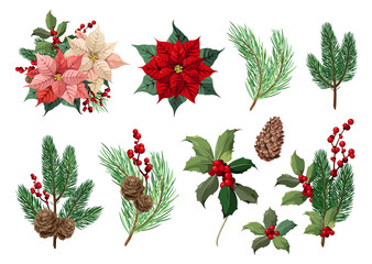 A set of Christmas decor elements on a white background. Vector illustrations of fir trees, cones, holly and poinsettia.