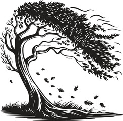 Windblown tree silhouette isolated on white background