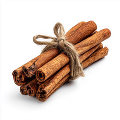 Bundle of cinnamon sticks tied with twine
