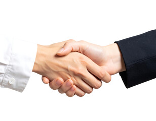 Business handshake signifies partnership and agreement