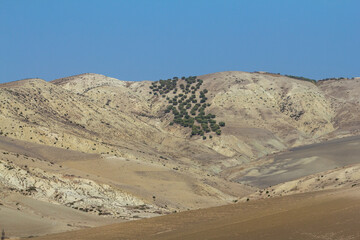 A vast, arid mountain landscape features dry, rocky hills with sparse vegetation, including a dense cluster of green trees on one slope, all under a clear blue sky.