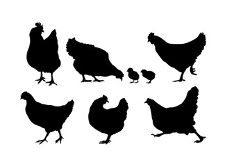 collection of chicken silhouettes with chicks