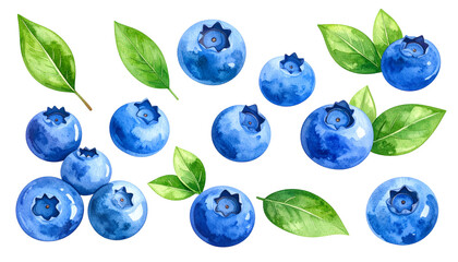 Watercolor blueberries and leaves on transparent background
