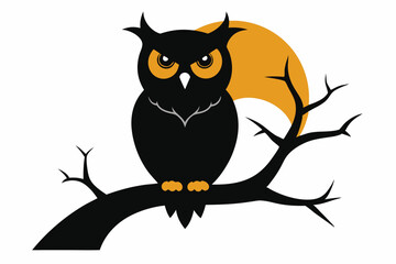 owl sitting on branch