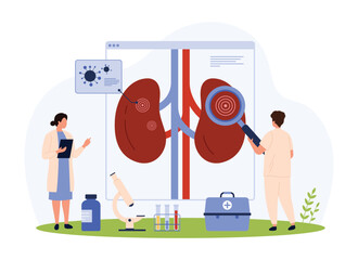 Pyelonephritis, kidney infection diagnosis and treatment, nephrology vector illustration. Cartoon tiny people check urinary system health with magnifying glass, research chronic disease and bacteria