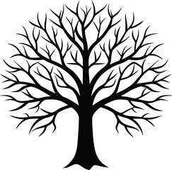 Obraz premium Bare Tree Silhouette