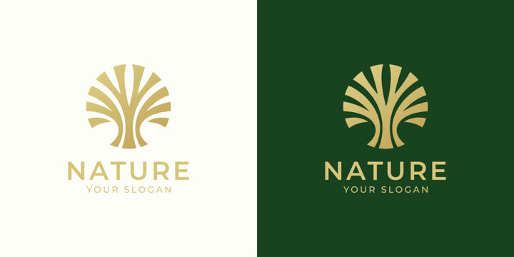 nature tree circle vector logo design