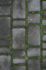 stone paving in the park overgrown with grass. Interesting background, wallpaper