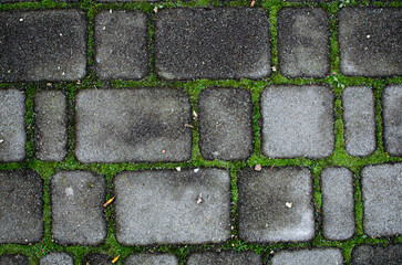 stone paving in the park overgrown with grass. Interesting background, wallpaper