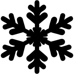 Obraz premium Black and white snowflake and abstract floral ornament with hand and flower illustration design