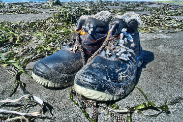 Flotsam and jetsam. It is a rare case when the sea washed up a pair of identical shoes the same...