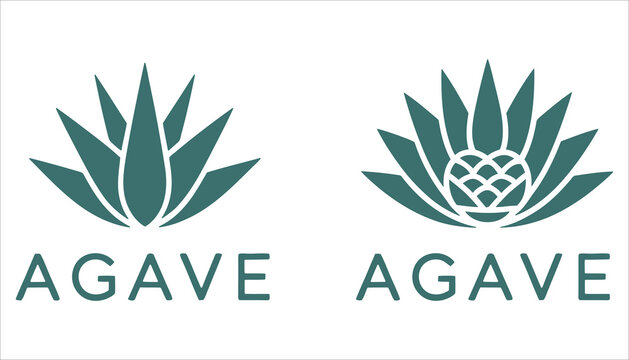 Agave Plant Logo Vector for Tequila or Organic Branding

