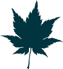 Hand-drawn maple leaf silhouette isolated on white background. Flat line style vector illustration.
