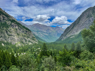 Vast glaciated alpine valley blanketed by dense, vibrant green forests. Rugged mountain peaks rise...
