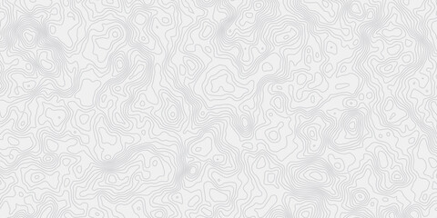 white and grey smooth topography gurve wave out line creativity grid pattern design web banner modern wave white background. 