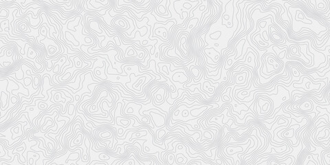 white and grey smooth topography gurve wave out line creativity grid pattern design web banner modern wave white background. 