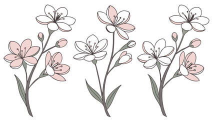 a beautiful eye catchy Nature, Bend and Bloom, Dew Kiss, Swaying Grace, Organic Rhythm, Serene Arch, Floral Balance, Velvet Arc, Harmony in Green, Delicate Touch, Curved Lines