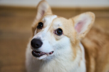 This is a closeup view of a disassembled laptop along with various repair tools arranged on a wooden table