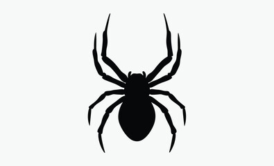 black spider silhouette, halloween decoration, creepy insect vector, Silhouettes of black spider, Halloween decorations,Vector collection of spider 