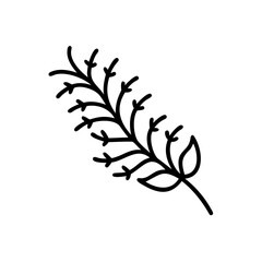 Black Line Art Drawing of a Simple Branch with Small Leaves Autumn Handmade Botanical Illustration