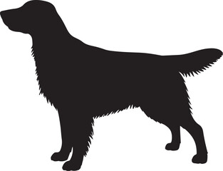 FLAT COATED RETRIEVER DOG SILHOUETTE