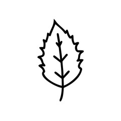 Single Black Outline Drawing of an Ayu Leaf with Slightly Jagged Edges and a Central Vein Branching into Smaller Veins Autumn
