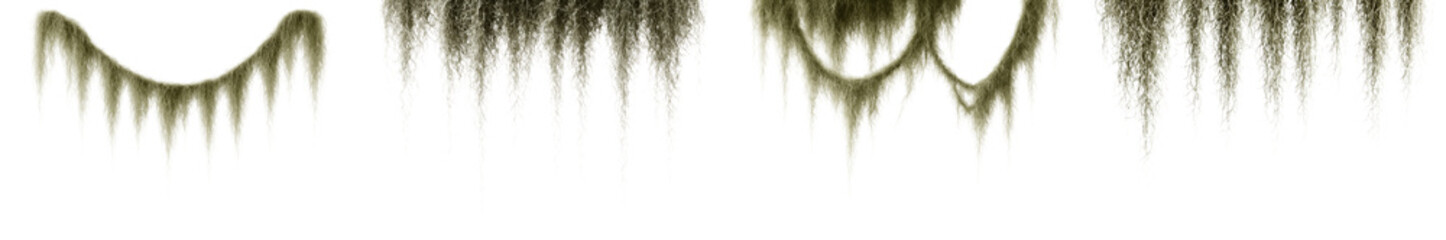 Spanish moss hanging vines set isolated on transparent background PNG - Realistic Spanish moss strands collection transparent PNG for design use