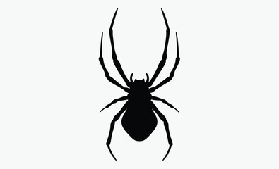 Spider hanging silhouette, halloween web vector, creepy insect icon, Silhouette of a spider hanging from a web, halloween vector 
